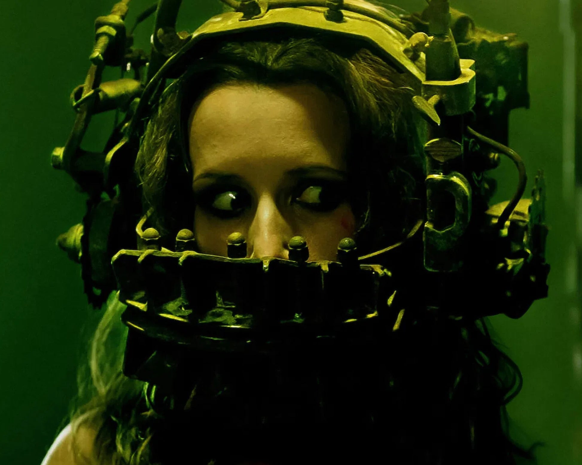 Shawnee Smith Photo 3
