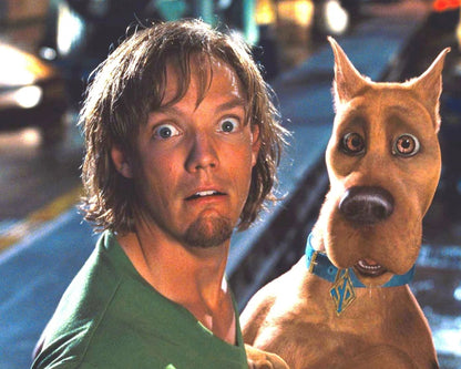 Matthew Lillard Photo 7