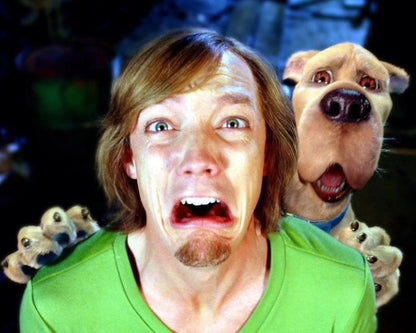 Matthew Lillard Photo 9